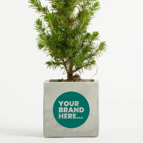 Christmas Tree in Marble Concrete Pot Printed